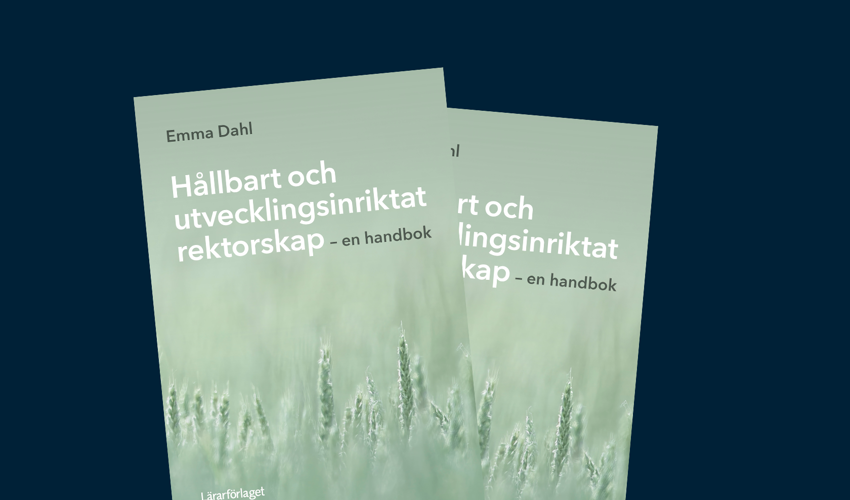 Bokomslag Hållbart och utvecklingsinriktat rektorskap