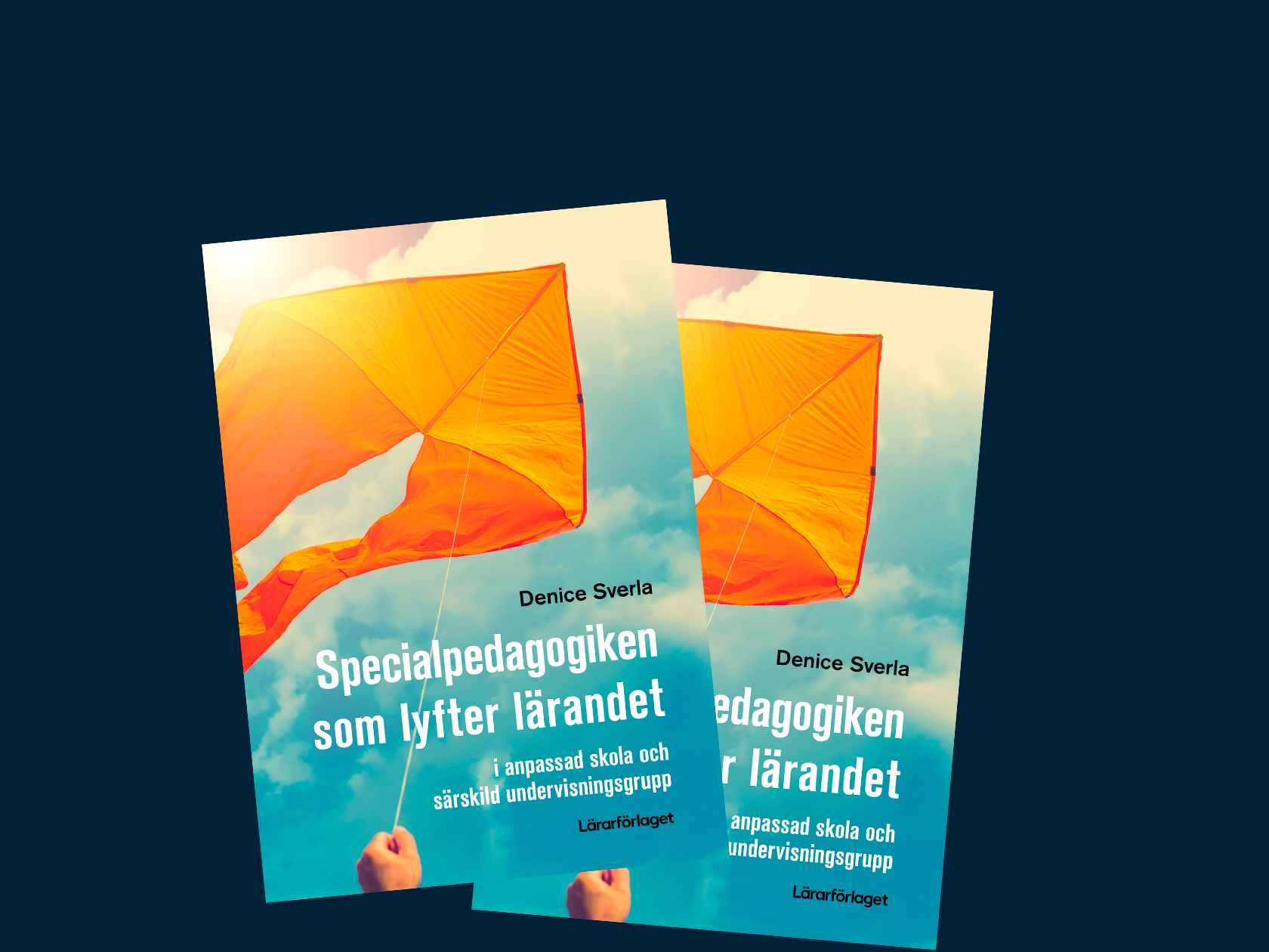 Bokomslag Specialpedagogiken som lyfter lärandet