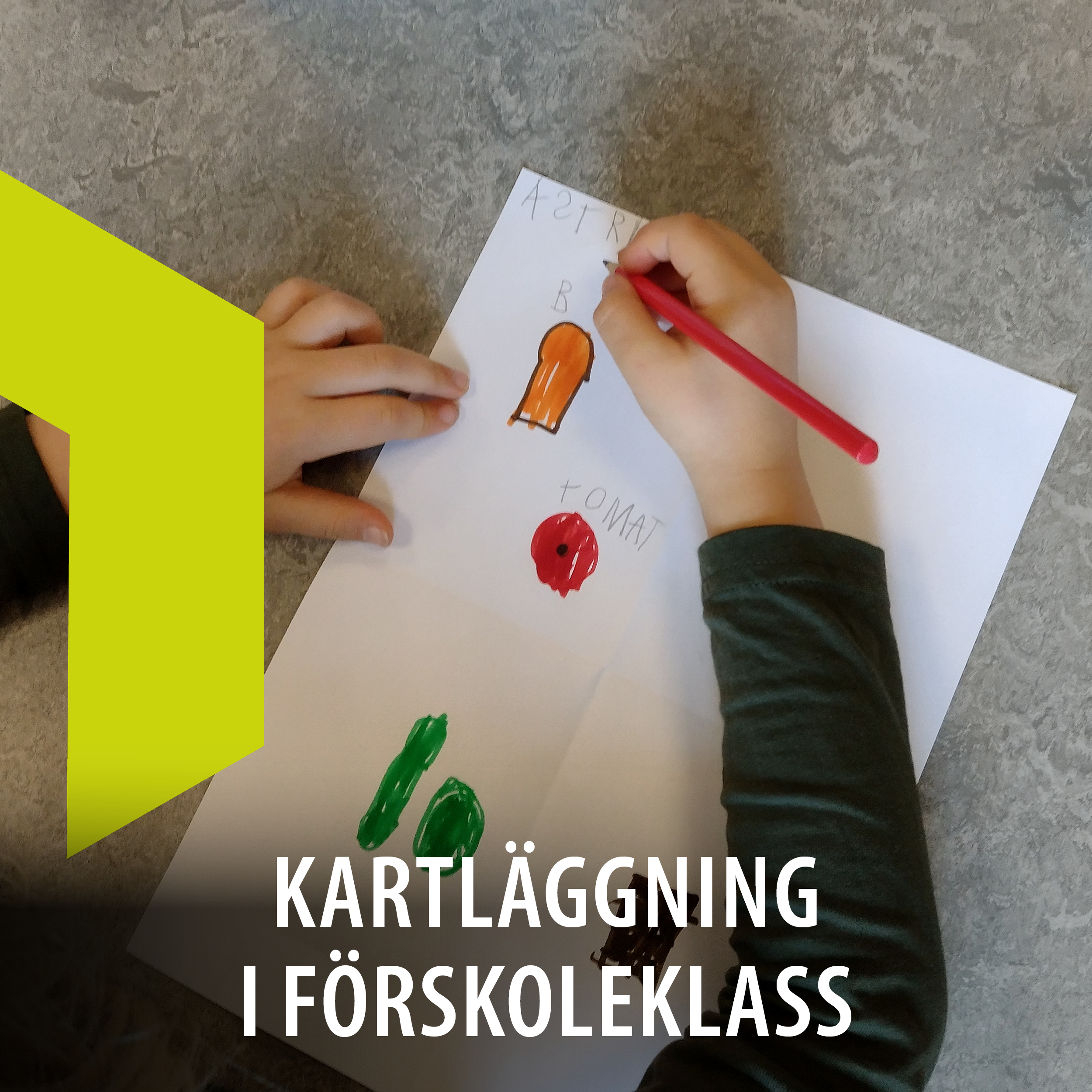 Kartläggning i förskoleklass