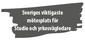 Sveriges viktigaste mötesplats